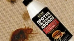 Előkészítő hector ágybajokból